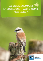 Suivi Temporel des oiseaux communs  en Bourgogne-Franche-Comté 2022